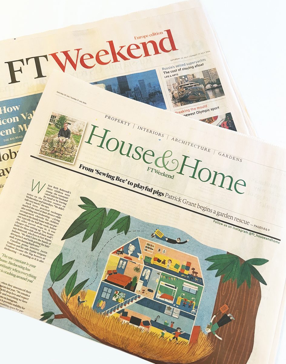 Financial Times / Opener illustration in the Home &#038; Decor section - Marta Antelo - Anna Goodson Illustration Agency